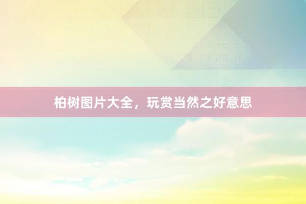 柏树图片大全，玩赏当然之好意思