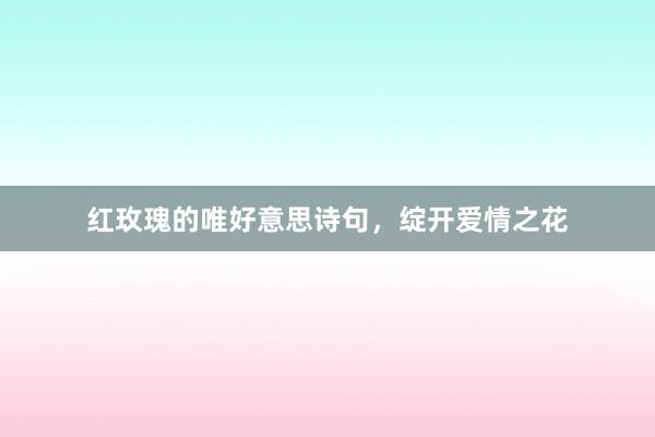 红玫瑰的唯好意思诗句，绽开爱情之花