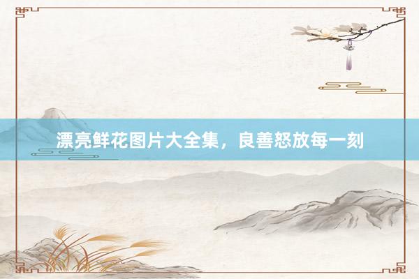 漂亮鲜花图片大全集，良善怒放每一刻