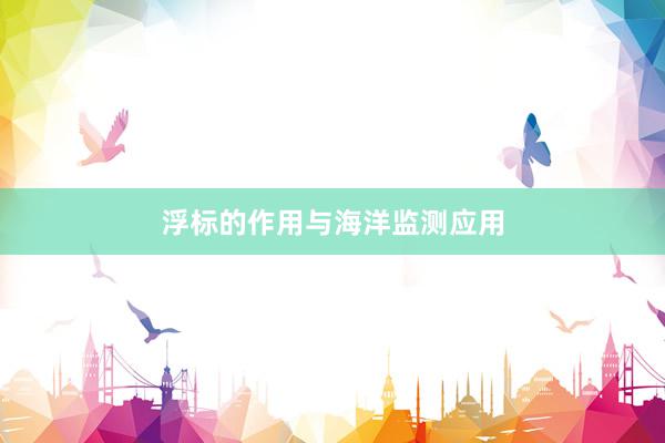 浮标的作用与海洋监测应用
